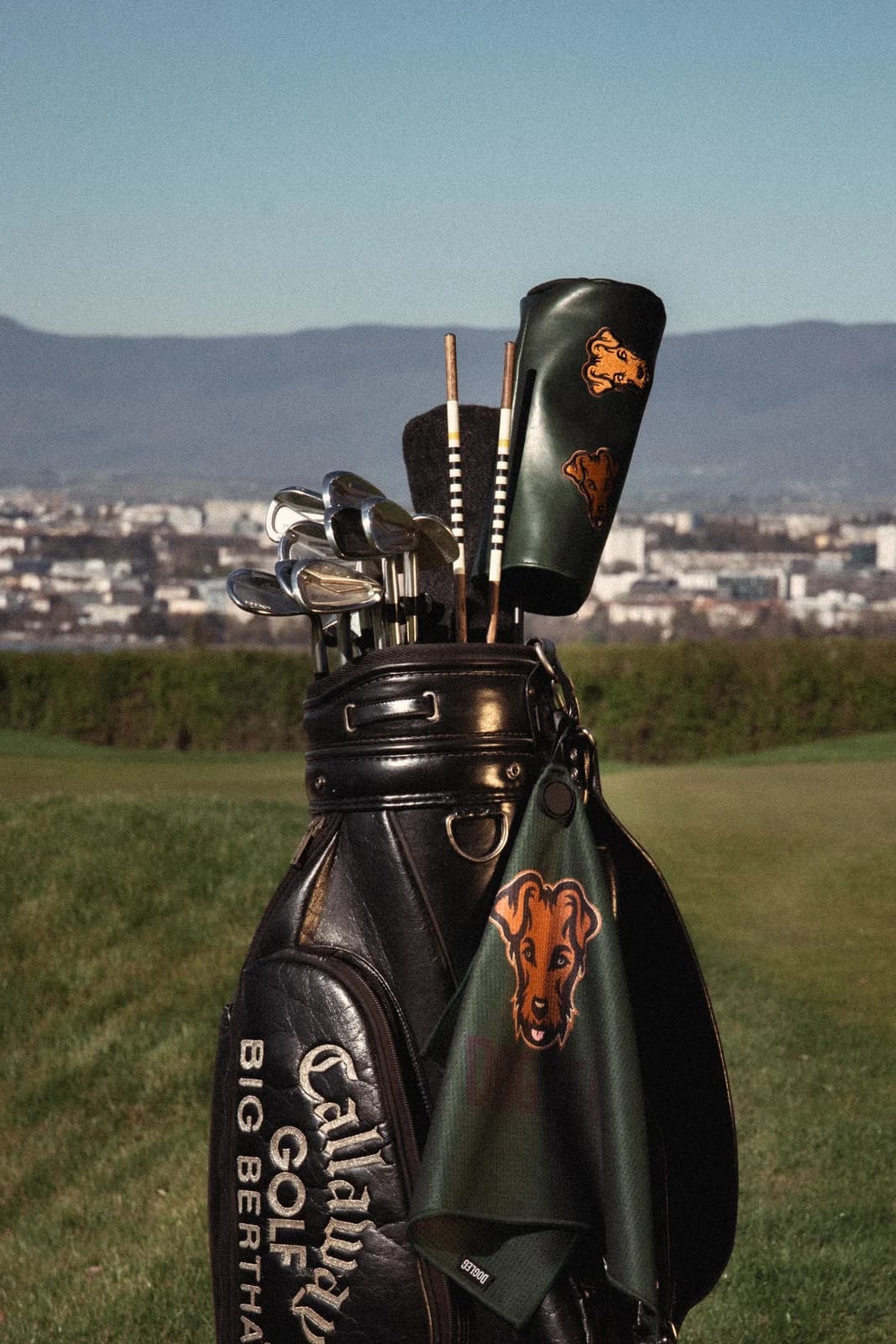 Golfbag med køller og headcover til driveren