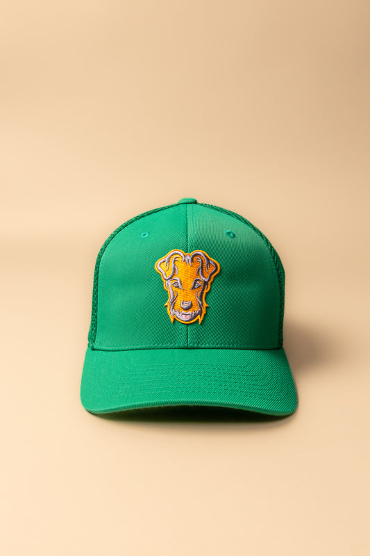 Casquette baseball vert/orange