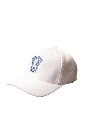 Casquette baseball