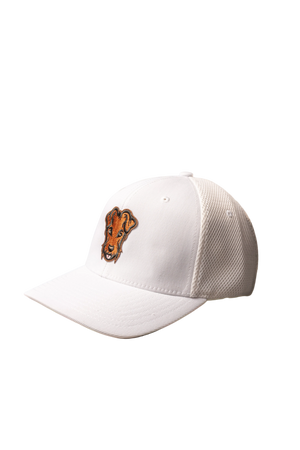 Casquette baseball