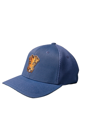 Casquette baseball