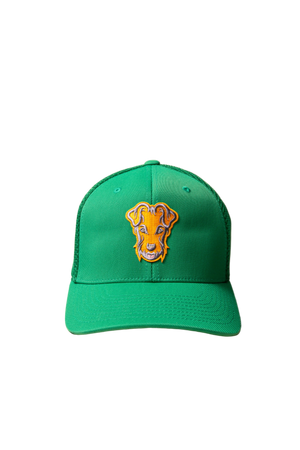 Casquette baseball