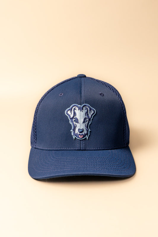 Casquette baseball bleu/bleu ciel
